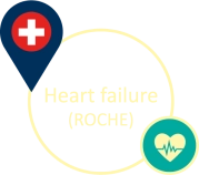 Cardiovascular (IER)